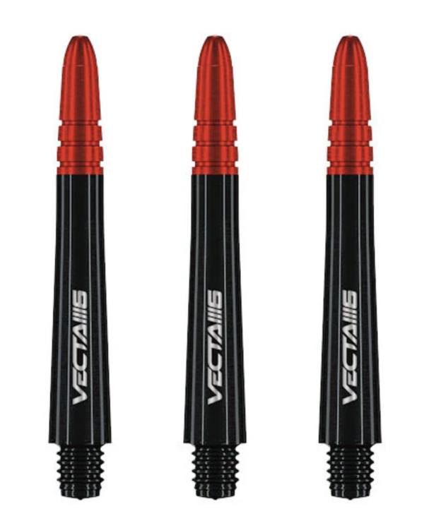 BD Anniversary ~ 90% Tungsten Dart Set